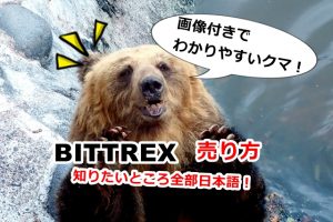 Bittrex,売り方,売れない,キャンセル,方法