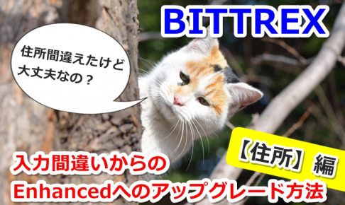 bittrex, アカウント, アプリ, サポート, ロック, 初心者, 問い合わせ, 解除,住所変更,間違い,住所