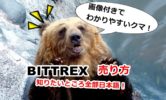 Bittrex(ビットレックス)の売り方を画像解説！売れない原因やキャンセル方法など【総まとめ】