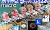 【Bittrex】スマホアプリのおすすめと使い方！アンドロイドやiPhoneで超簡単に取引できる神アプリ降臨