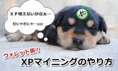 XPコインマイニングのやり方はウォレットがおすすめ！これを見れば誰でもできる画像解説付き！